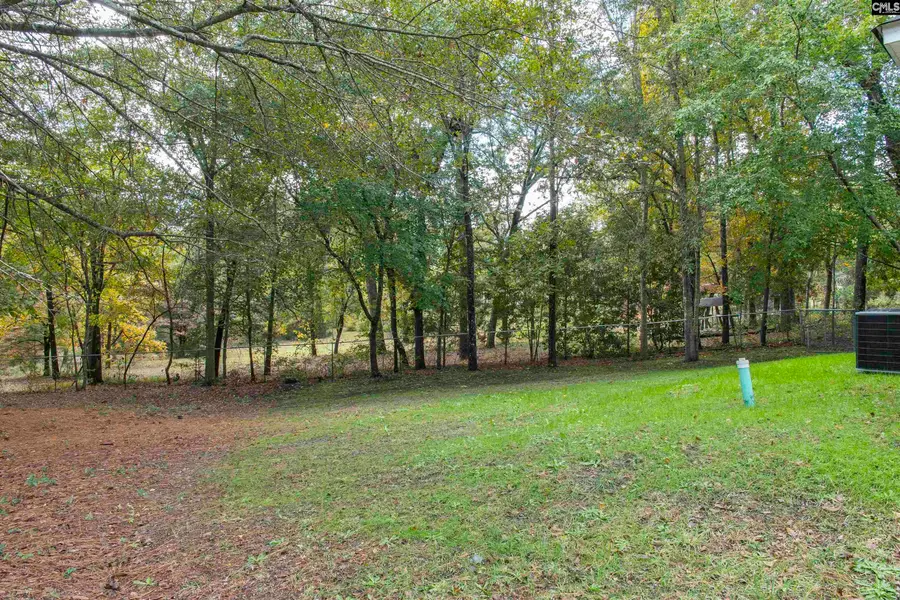 133 Maple Shade Lane, Lexington, SC 29073 - Image #2