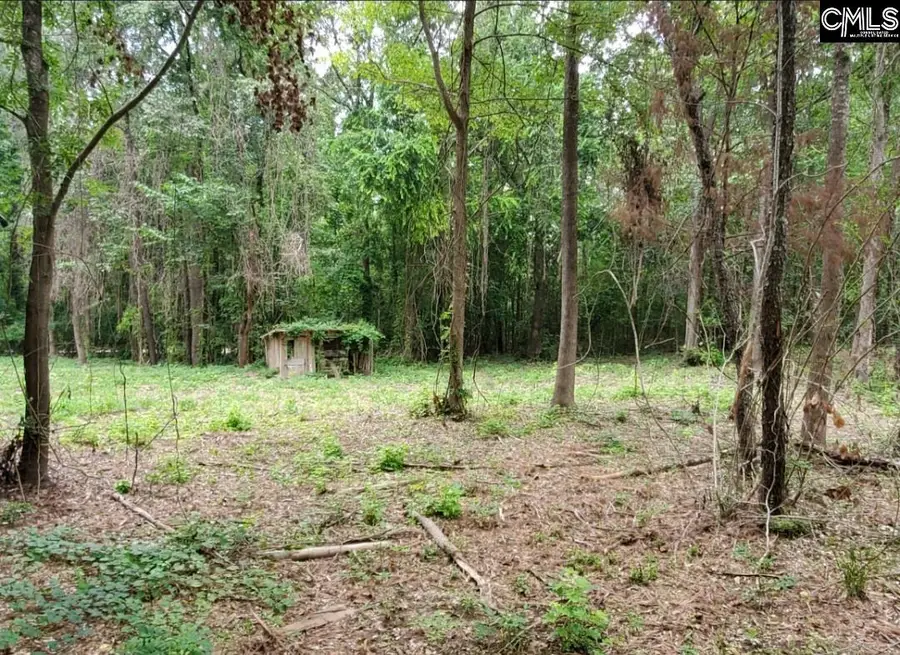 220 Courtland Road, Chapin, SC 29036 - Image #3