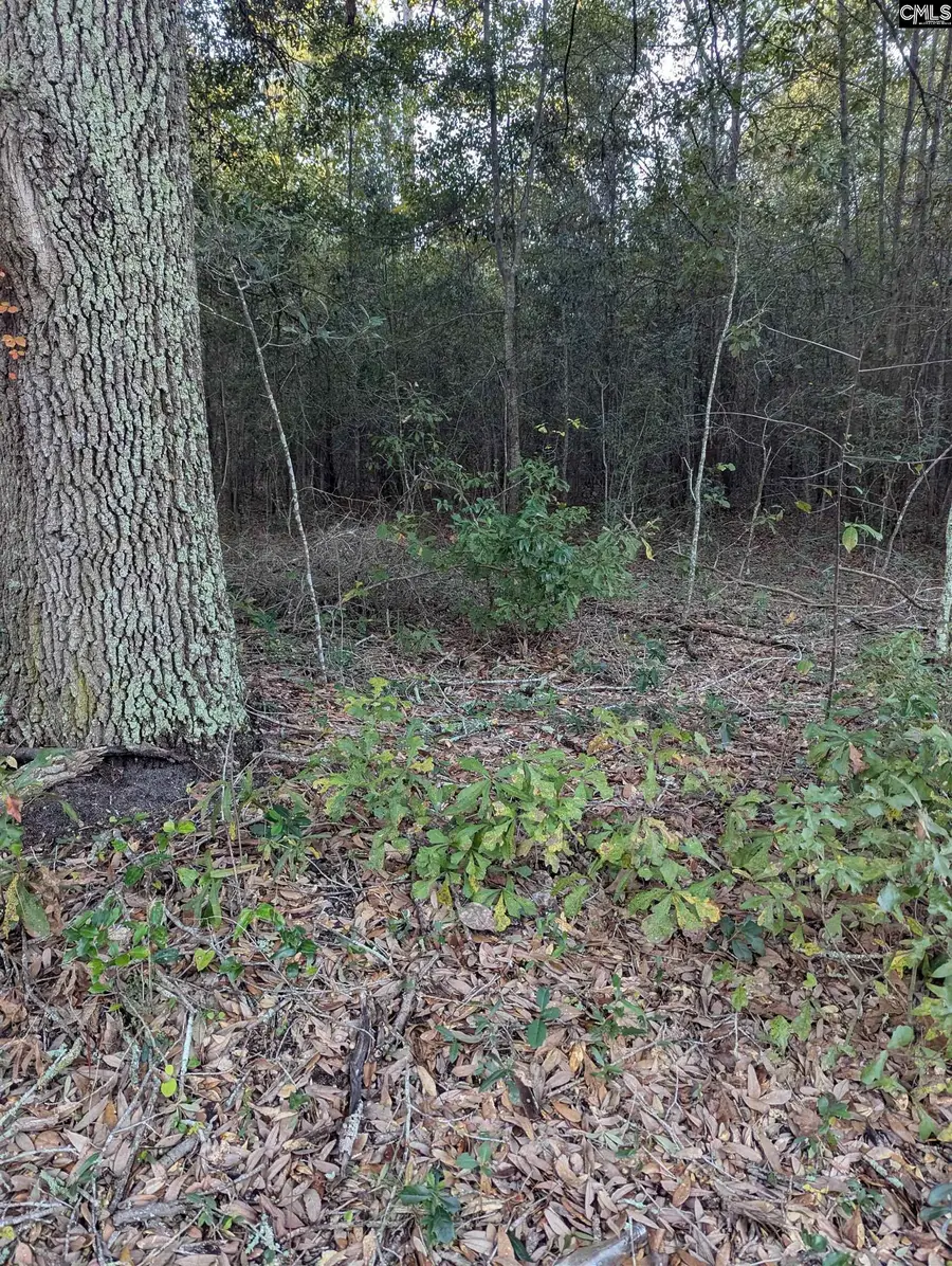 45 Fletcher Drive, Kershaw, SC 29067 - Image #2