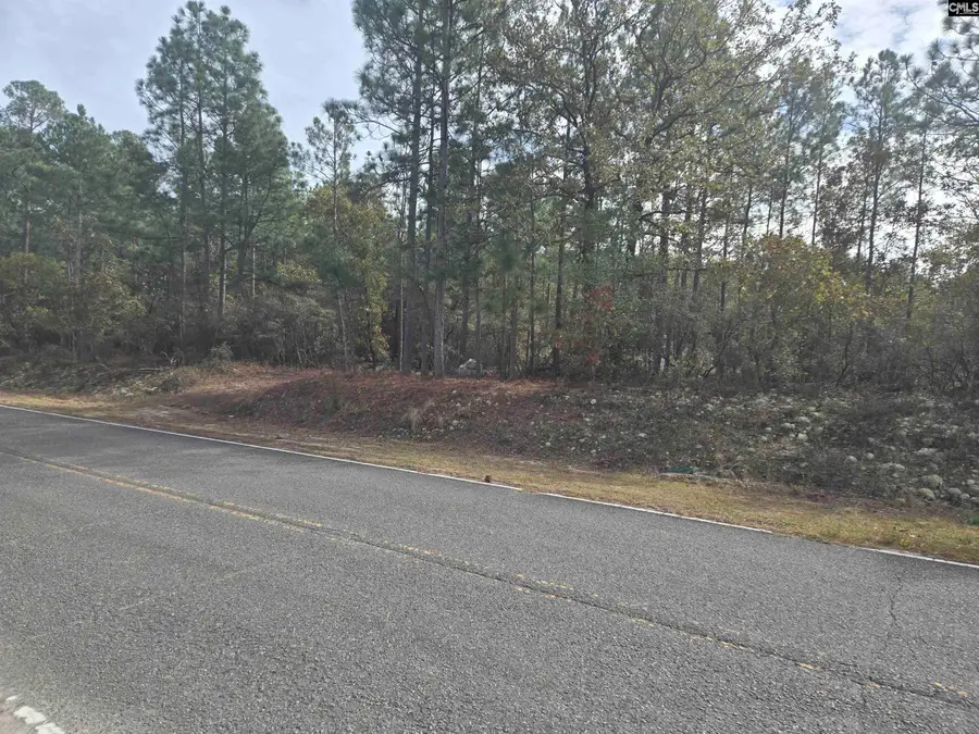 0 Ben Franklin Road, Gilbert, SC 29054 - Image #2