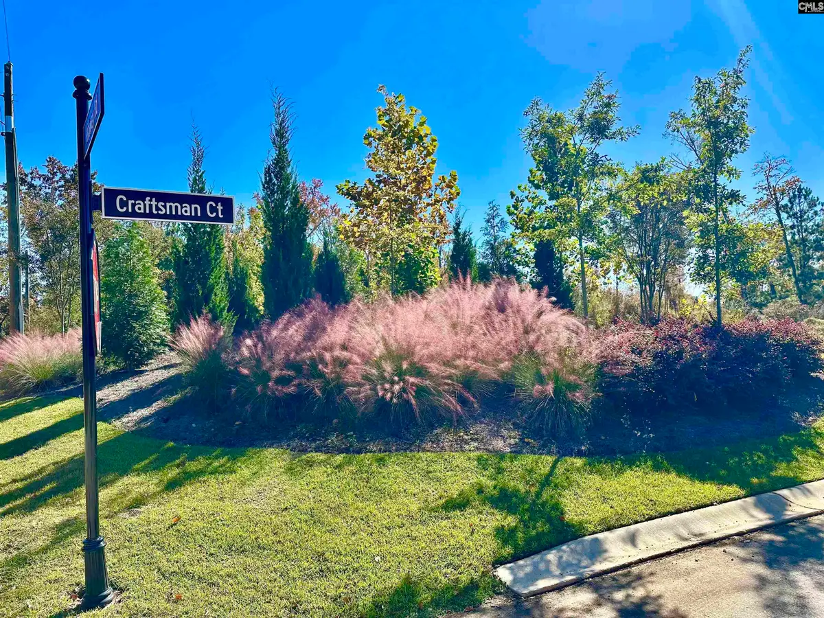 417 Craftsman Court, Lexington, SC 29072 - Image #1