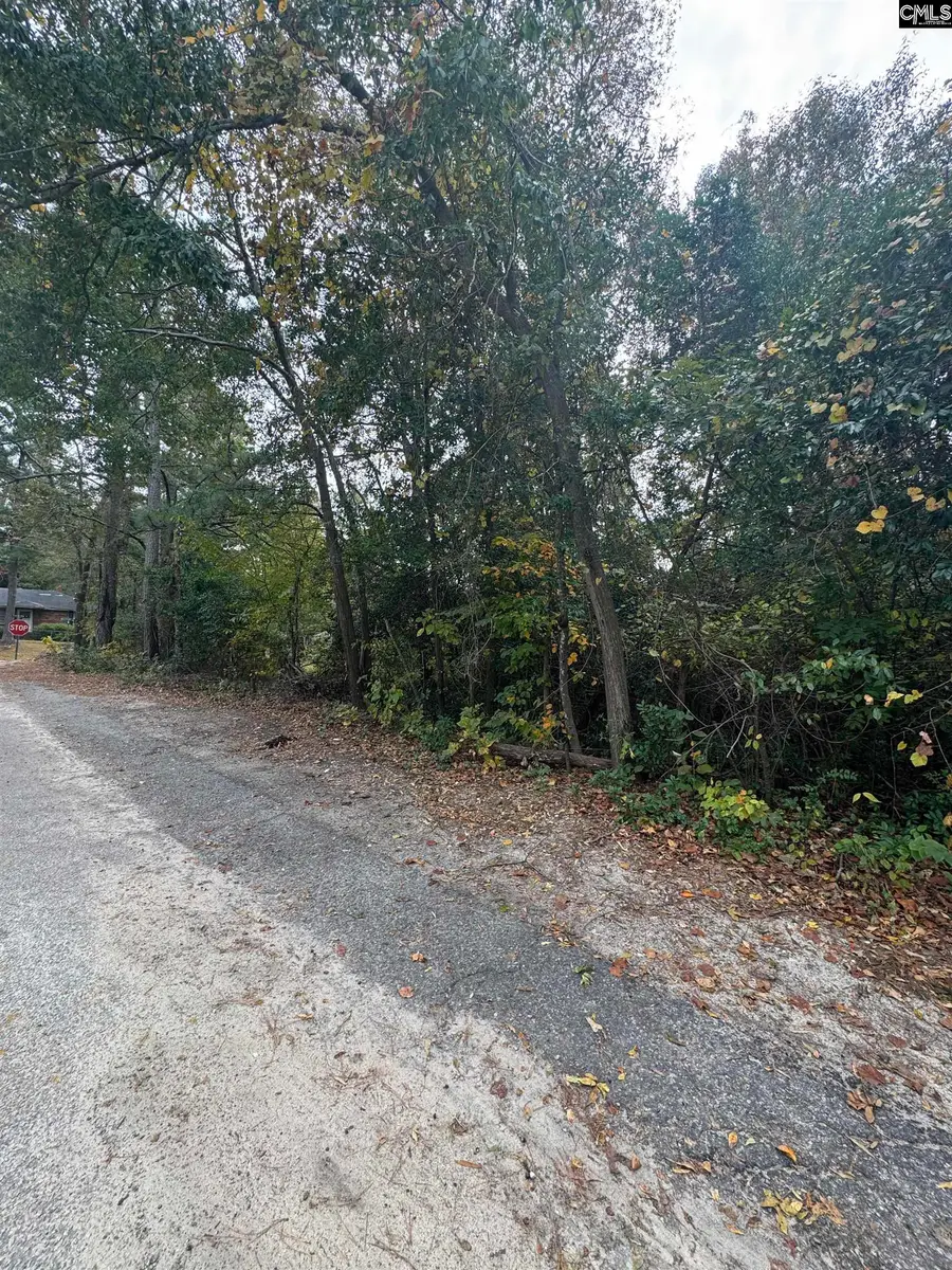 0 Weston Avenue, Columbia, SC 29203 - Image #3