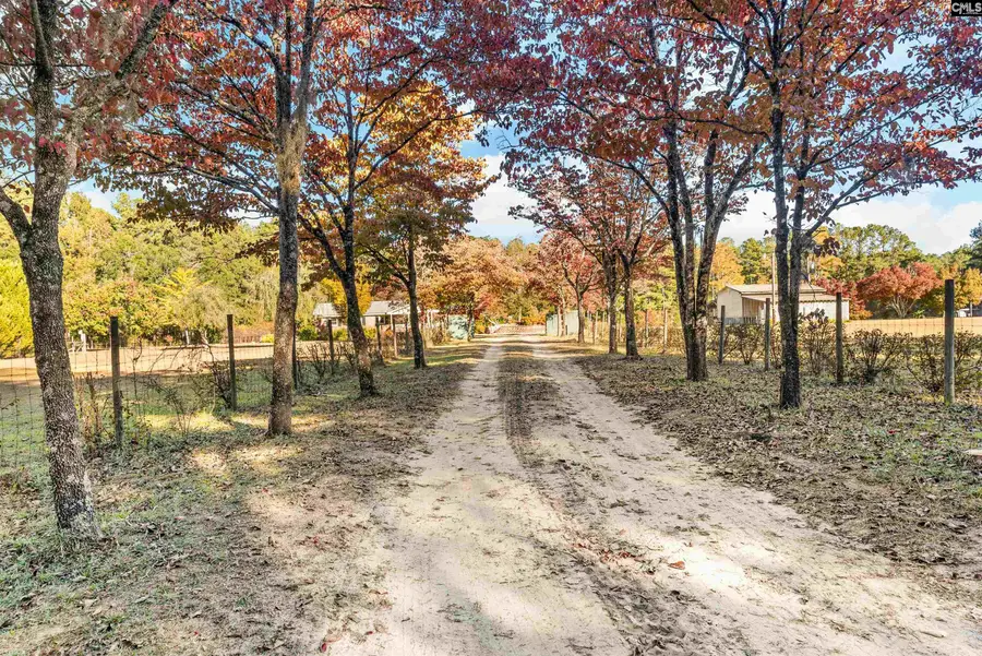 646 Briar Creek Road, Branchville, SC 29432 - Image #3