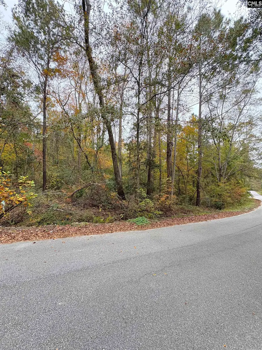 1031 Pineland Drive, Columbia, SC 29203 - Image #3