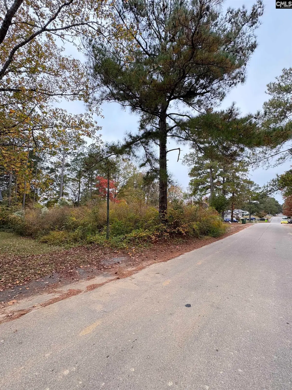 1021 Rockymount Road, Columbia, SC 29203 - Image #1