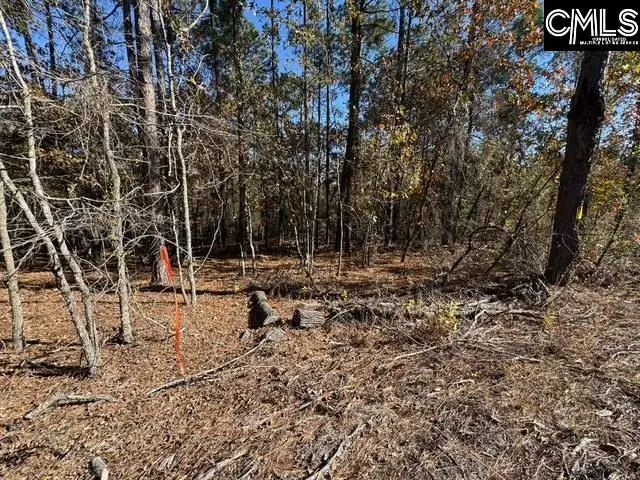 812 Whitehead Road, Lugoff, SC 29078 - Image #3