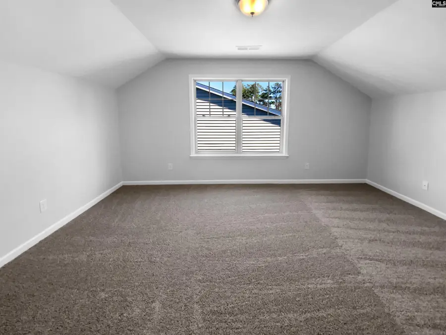 756 Helmsman Lane, Chapin, SC 29036 - Image #3