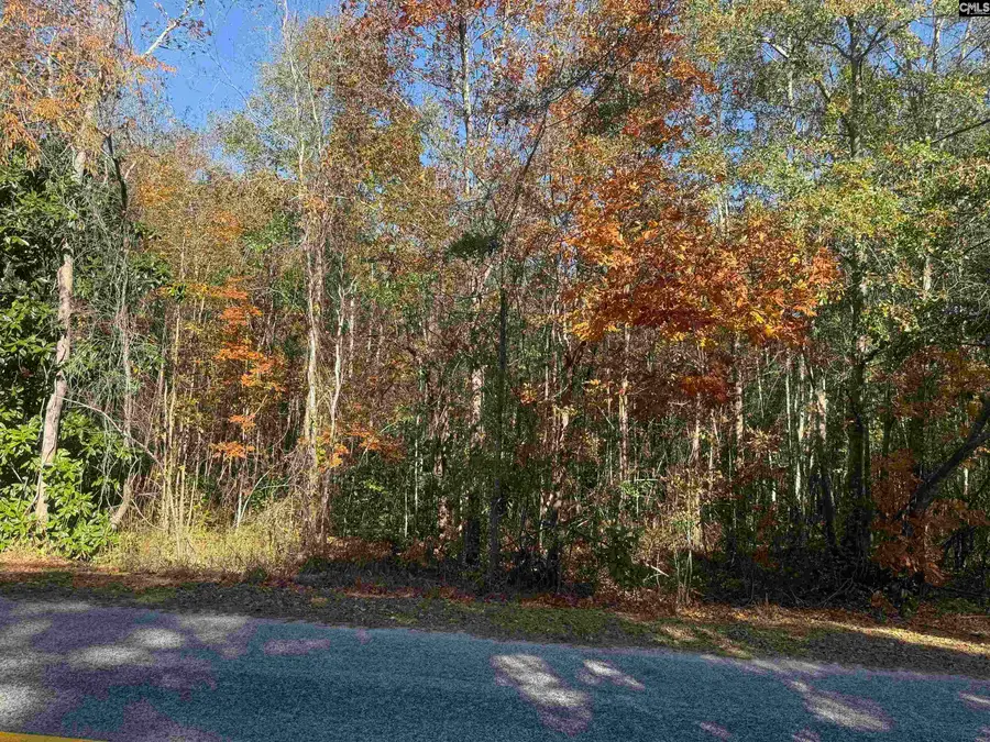 4686 Leesburg Road, Hopkins, SC 29061 - Image #3