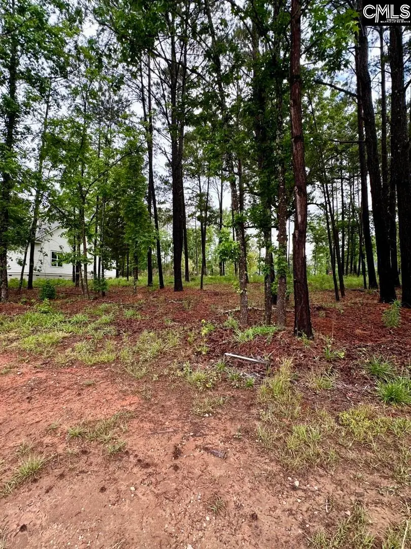 513 Misty Banks Drive, Chapin, SC 29036 - Image #2