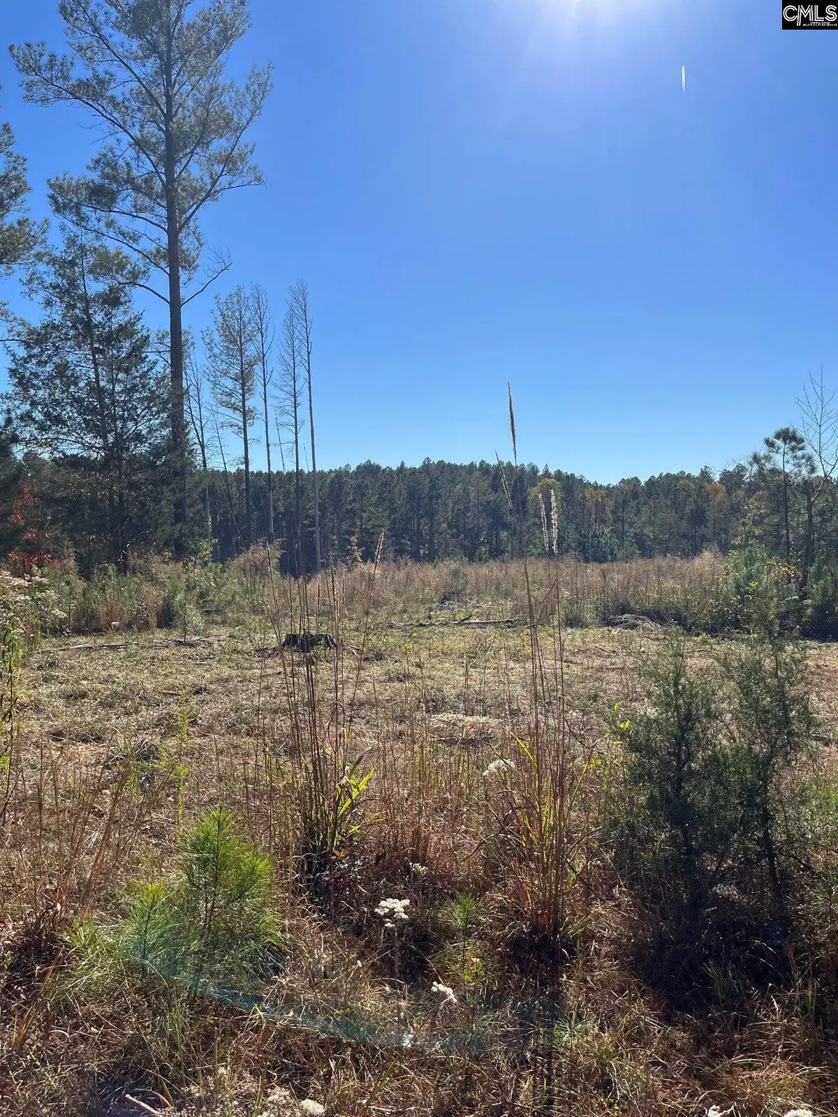 DRF 2 Dawkins Road #DRF 2, Pacolet, SC 29372 - Image #1