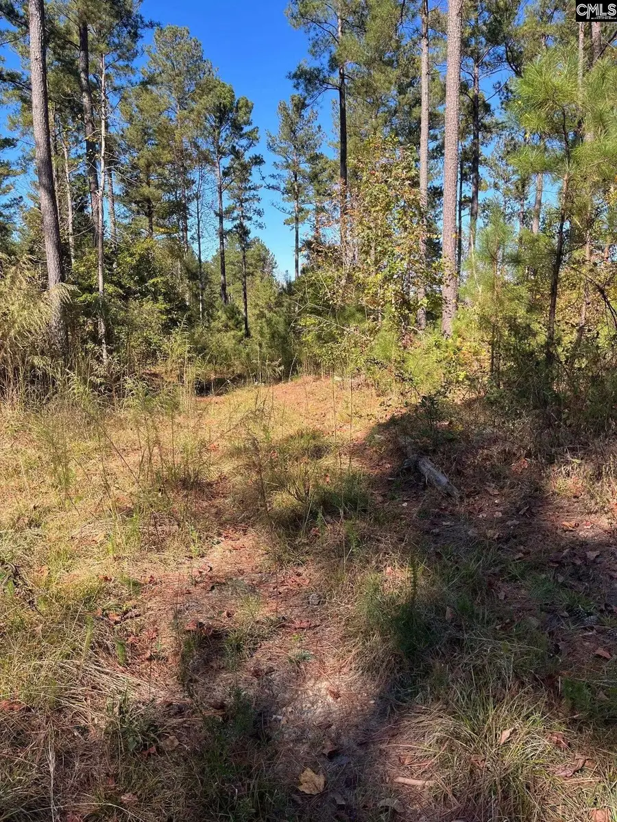 DRF 2 Dawkins Road #DRF 2, Pacolet, SC 29372 - Image #2