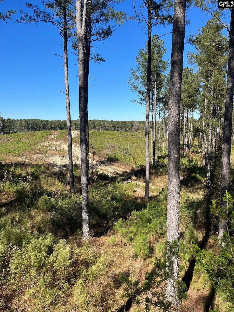 DRF 5 Dawkins Road #DRF 5, Pacolet, SC 29372 - Image #3