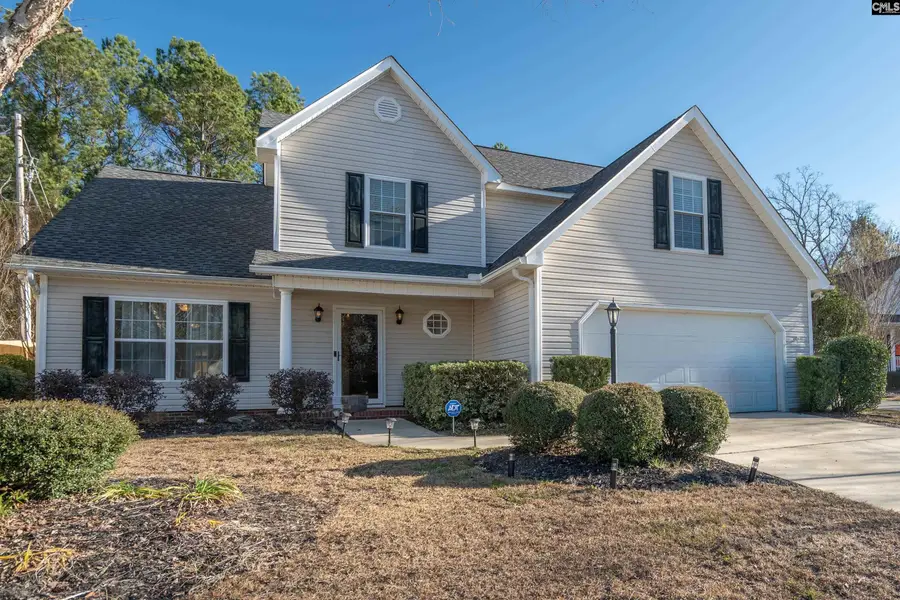 171 Elm Creek Drive, Chapin, SC 29036 - Image #2