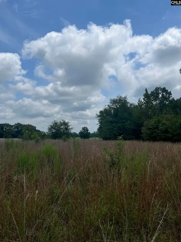 BHL 5 Boise Cascade Road #BHL 5, Bethune, SC 29009