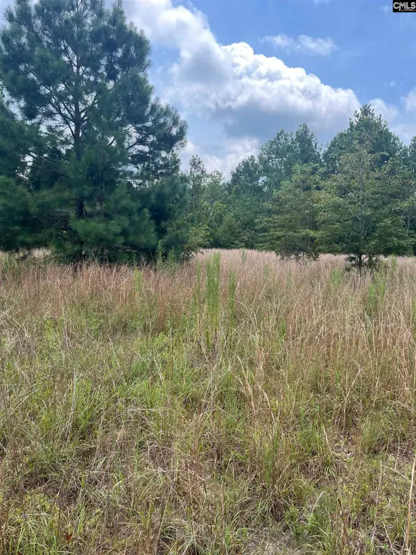 BHL 8 Boise Cascade Road #BHL 8, Bethune, SC 29009