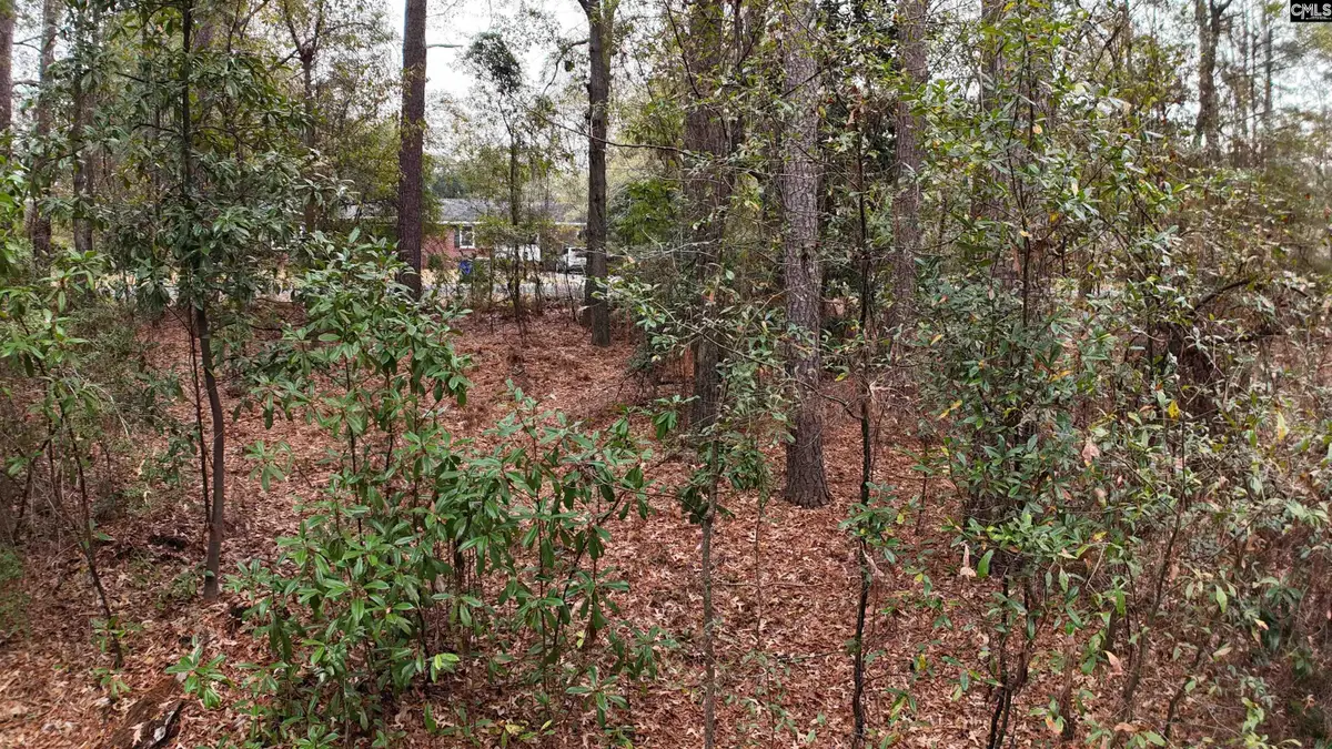 1319 Lakeshore Drive, Camden, SC 29020 - Image #1