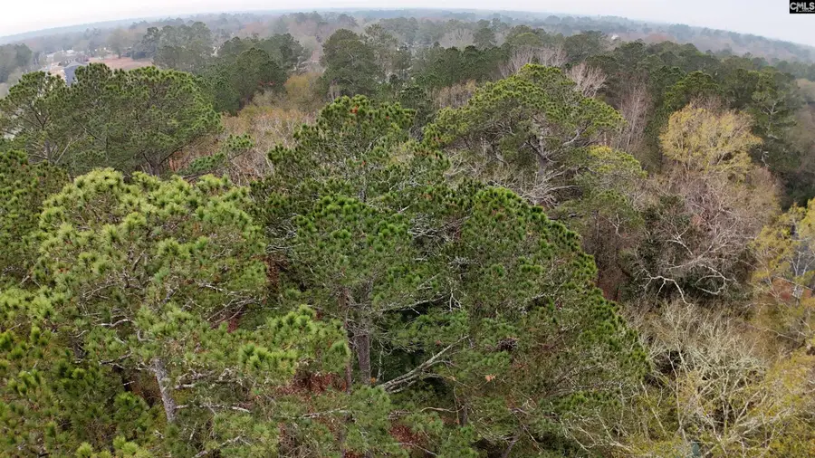 1319 Lakeshore Drive, Camden, SC 29020 - Image #3