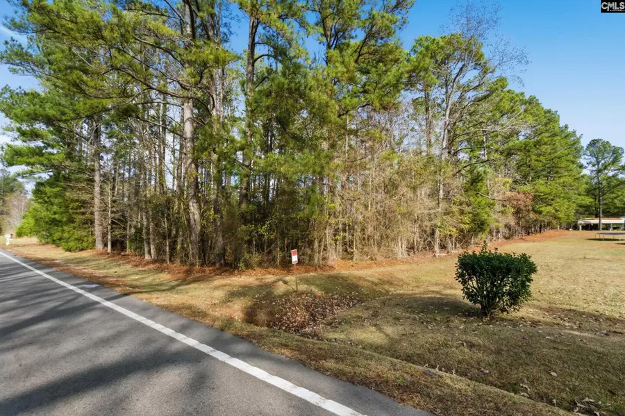 Hwy SC 215 Tract D, Jenkinsville, SC 29065 - Image #2
