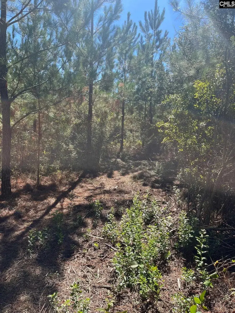 BFF 1E Brunson Teal Road #BFF 1E, Patrick, SC 29584 - Image #2