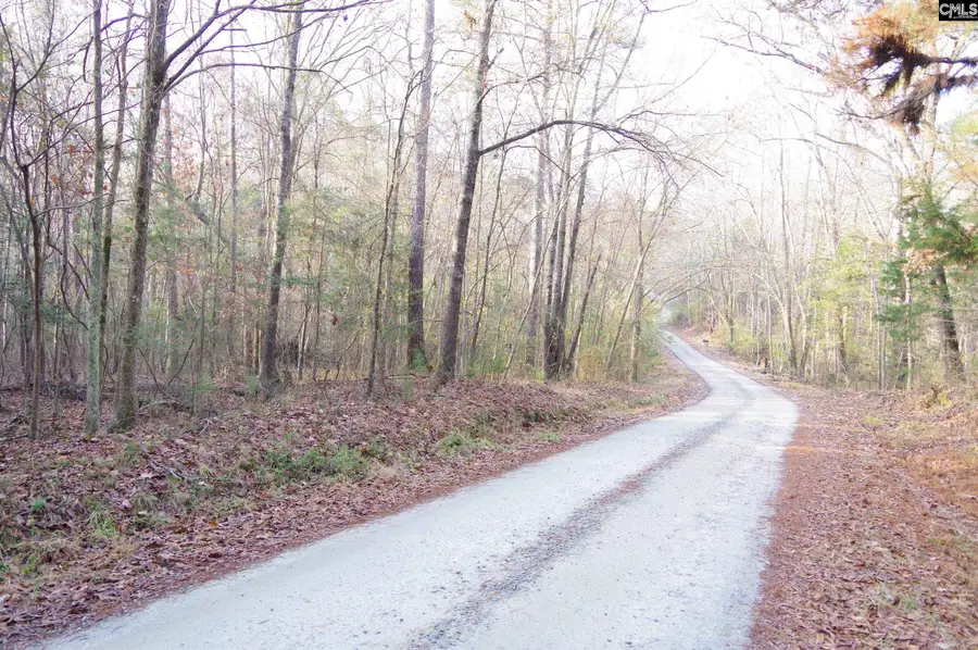 133 Archway Court, Little Mountain, SC 29075 - Image #3