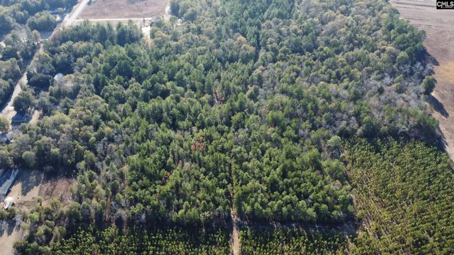 TBD Jeffcoat Road, Wagener, SC 29164 - Image #3