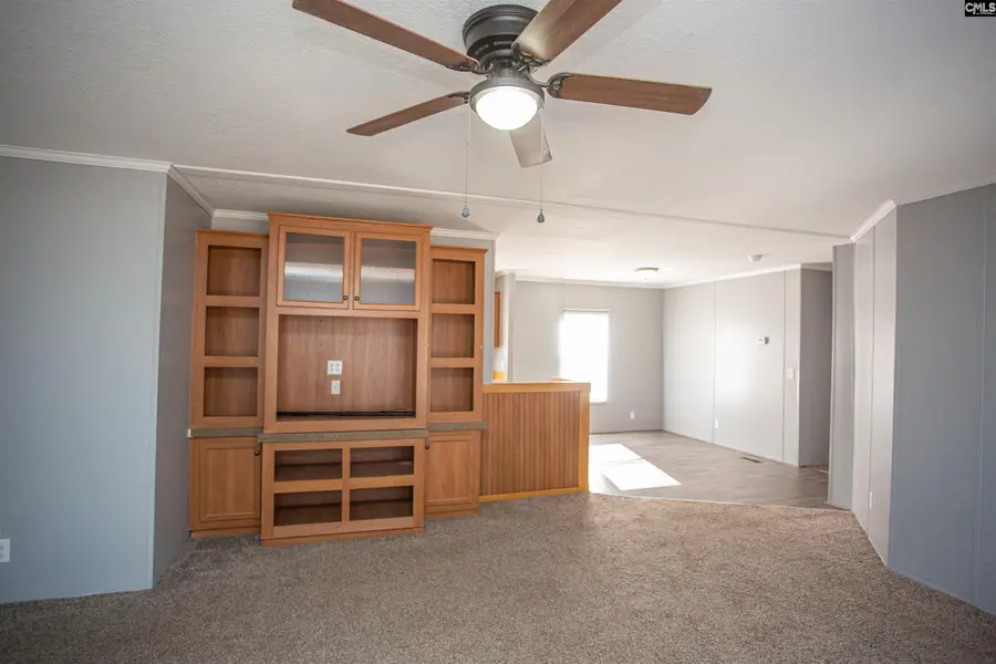 117 Chewning Road, Bishopville, SC 29010 - Image #3