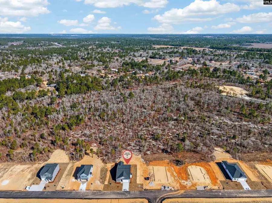 648 Old Charleston Road, Pelion, SC 29123 - #2