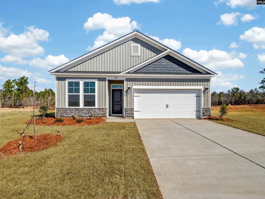 648 Old Charleston Road, Pelion, SC 29123 - #3