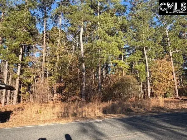 0 Woodcrest Lane, Gaston, SC 29053