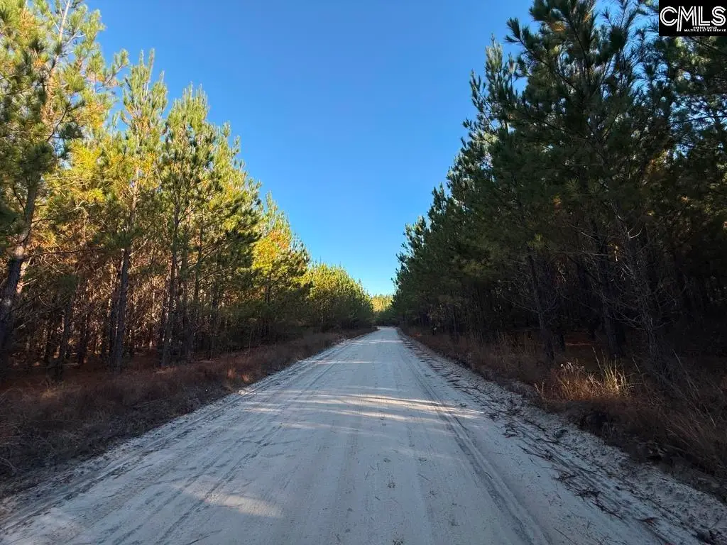 Kestrel Drive, Leesville, SC 29070 - Image #1