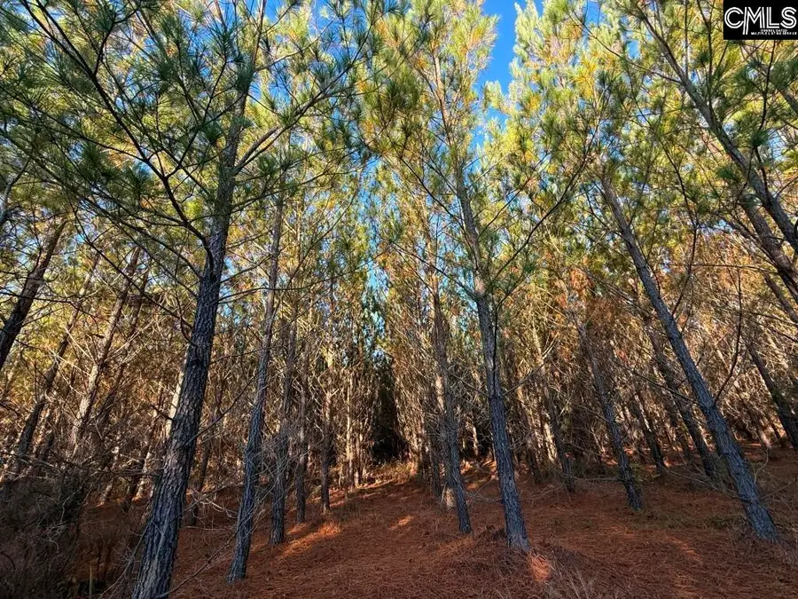 Kestrel Drive, Leesville, SC 29070 - Image #3