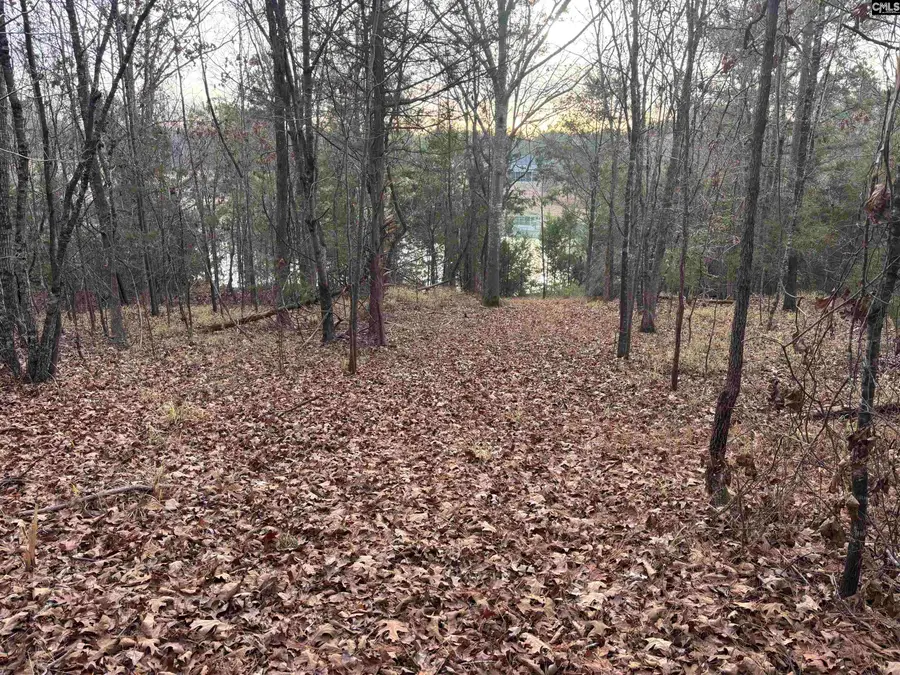 0 Hwy 391, Prosperity, SC 29127 - Image #2