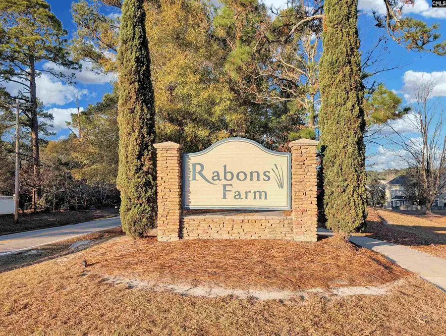 1253 Rabon Pond Drive, Columbia, SC 29223 - Image #2