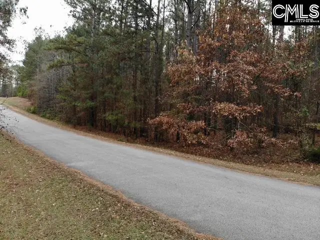 Pineland Road, Chappells, SC 29037 - #2
