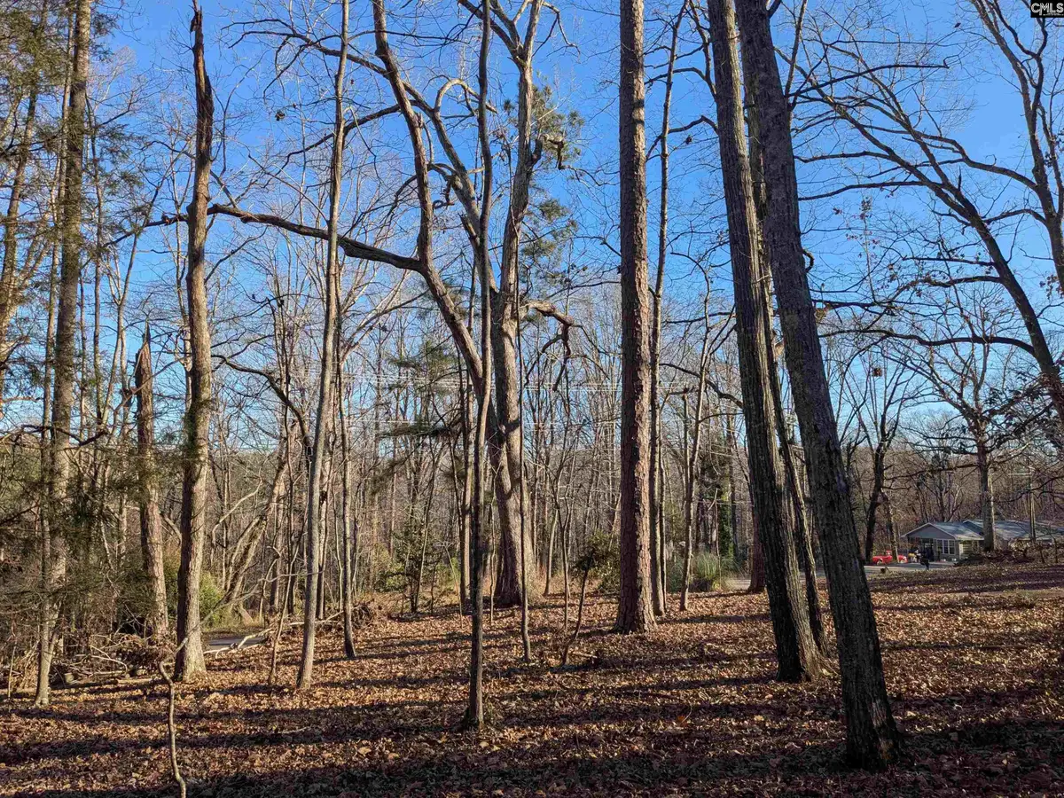 Dogwood Avenue, Winnsboro, SC 29180 - Image #1