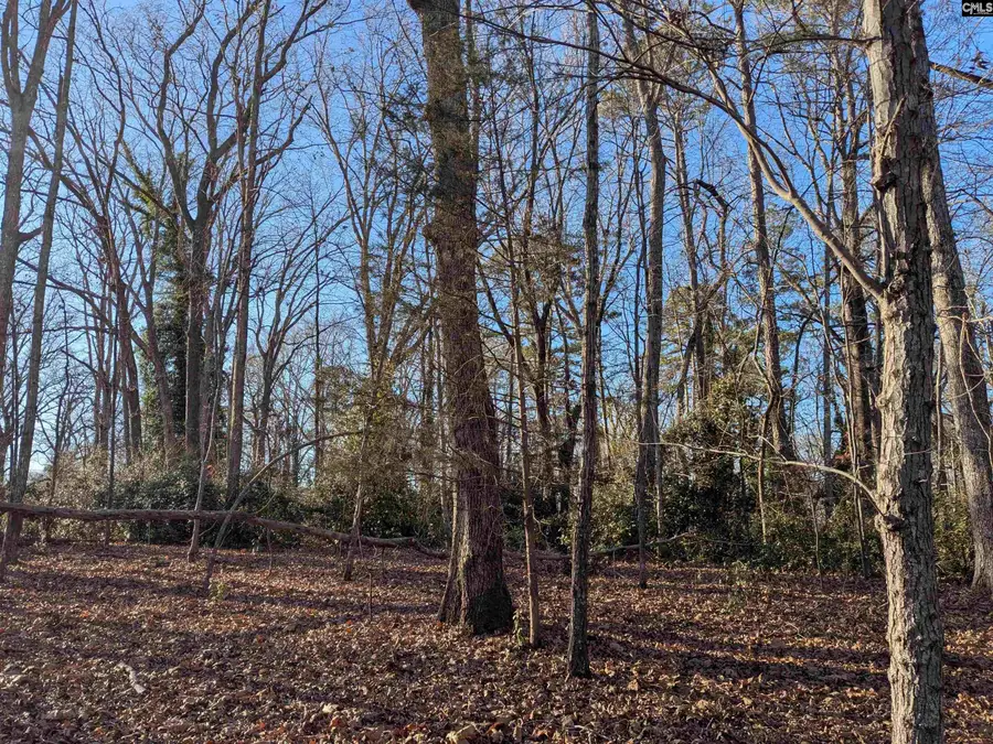 Dogwood Avenue, Winnsboro, SC 29180 - Image #2