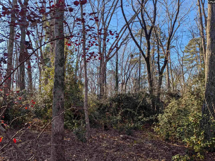 Dogwood Avenue, Winnsboro, SC 29180 - Image #3