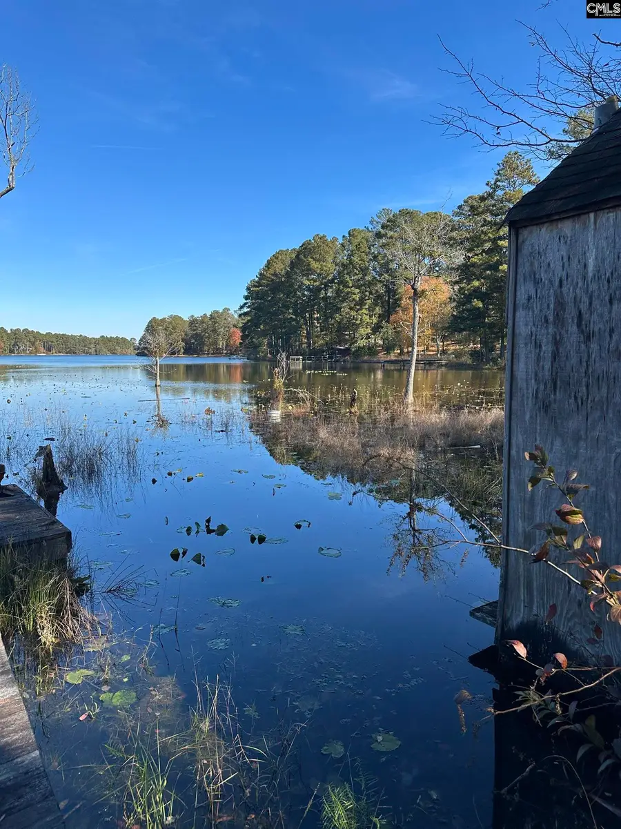 Lot 39 Edisto Lake Road, Wagener, SC 29164 - Image #3