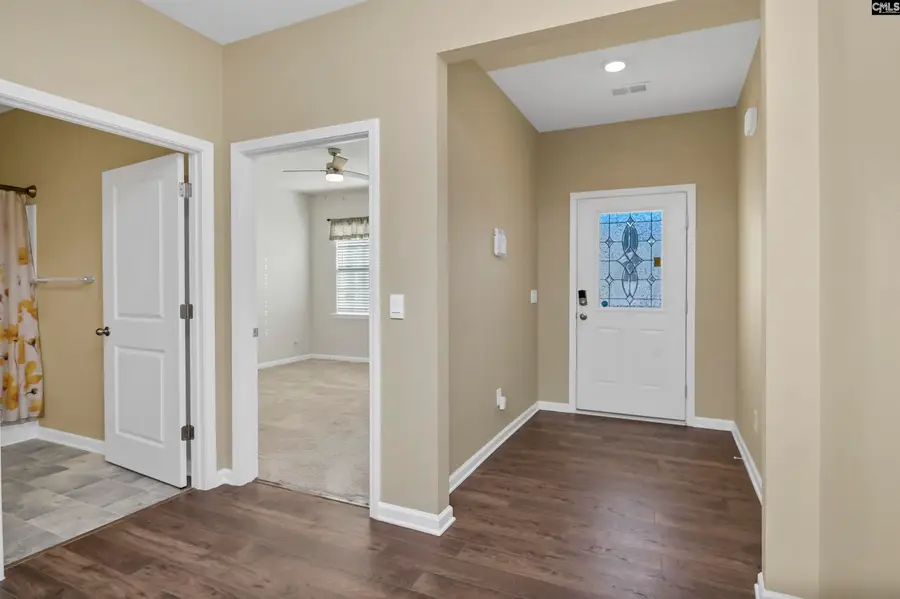 1312 Canopy Crest Lane, Chapin, SC 29036 - Image #3