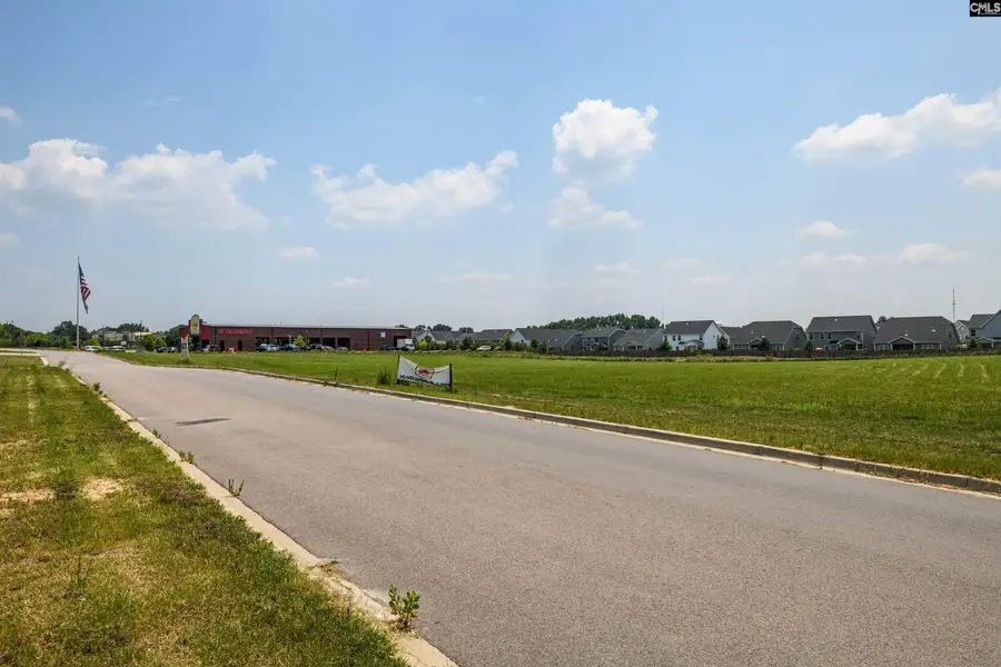 206 Bo Tire Way, Lexington, SC 29072 - Image #3