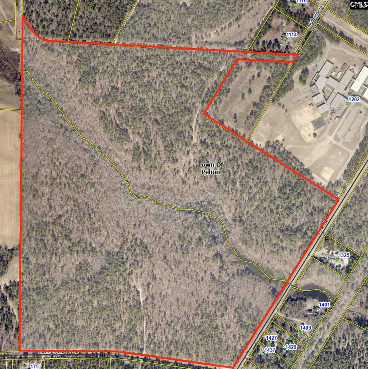 TBD Pine / Hartley Quarter Street, Pelion, SC 29123 - Image #1