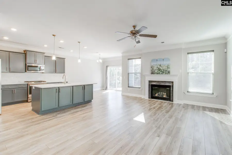 247 Laurelbrook Drive, Chapin, SC 29036 - Image #3