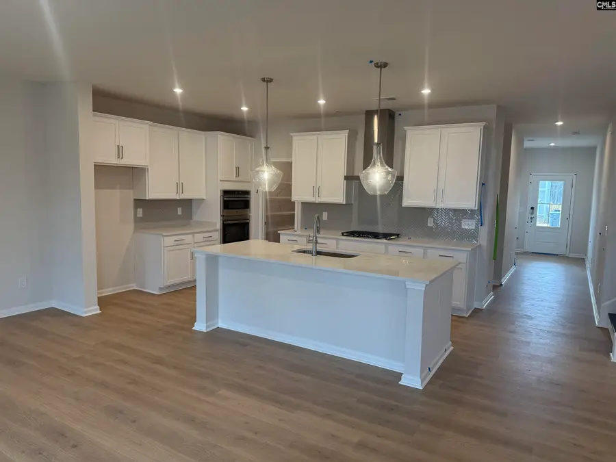 358 Chapin Place Way, Chapin, SC 29036 - #3