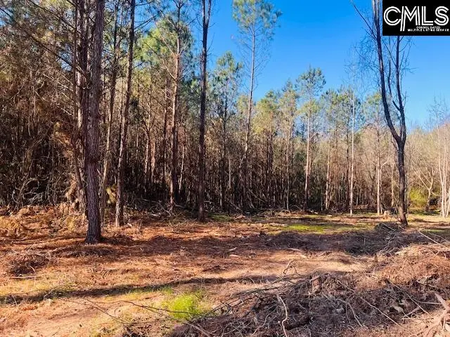 0 J Farm Trail, Leesville, SC 29070 - Image #2