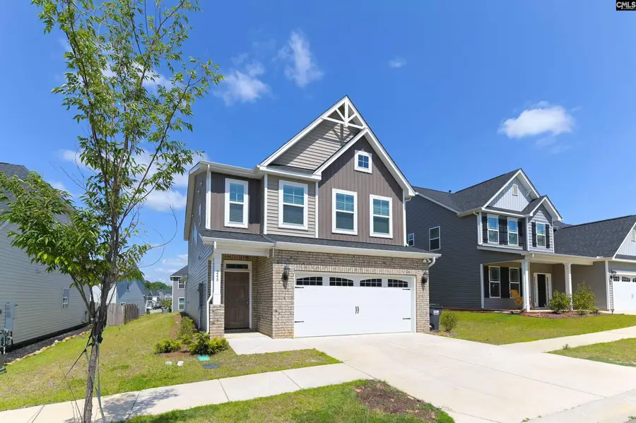 248 Wessinger Farms Road, Chapin, SC 29036 - Image #2