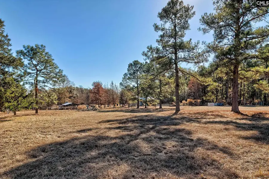 124 Shannon Drive, Swansea, SC 29160 - Image #2