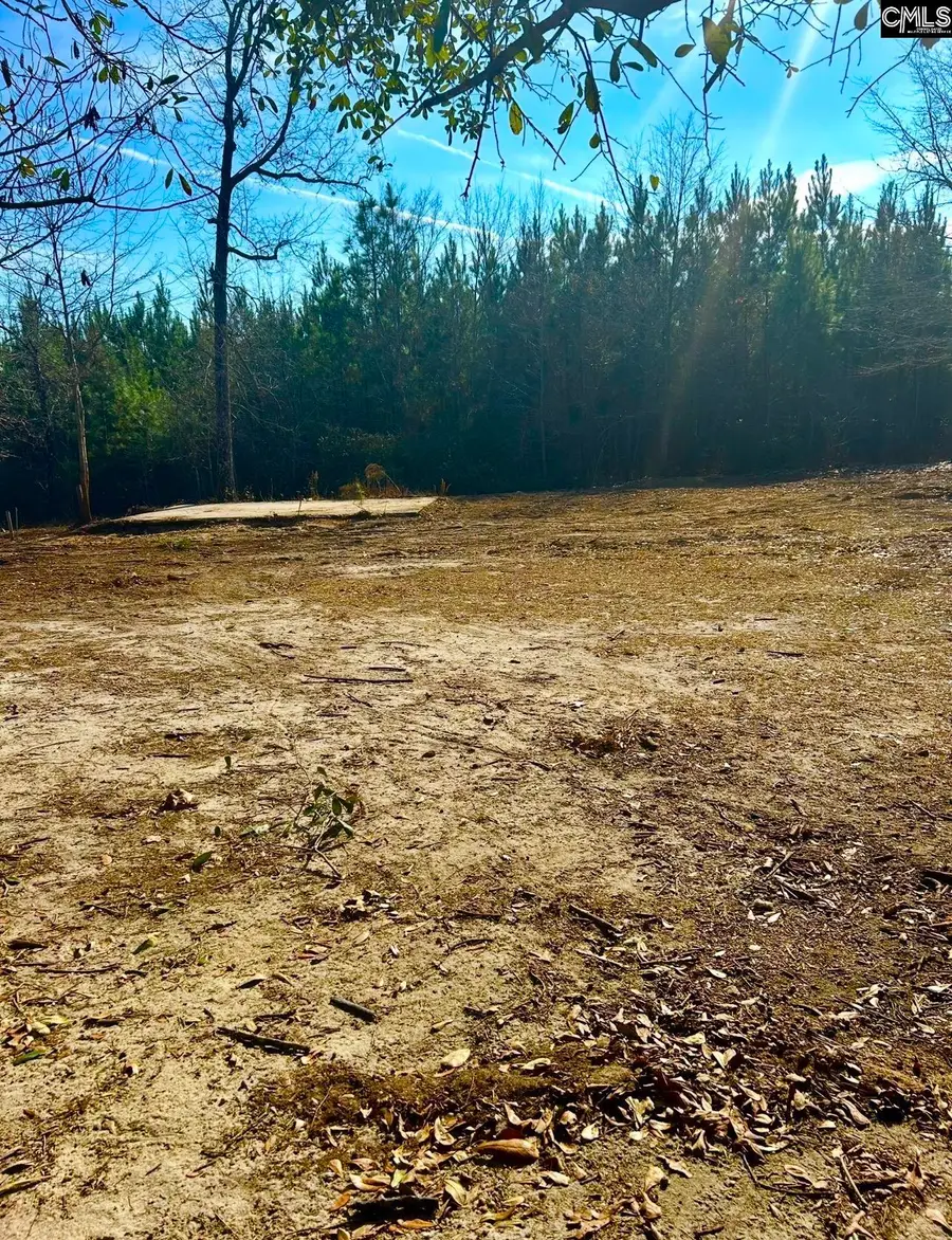 433 Cassidy Road, Gaston, SC 29053 - Image #3