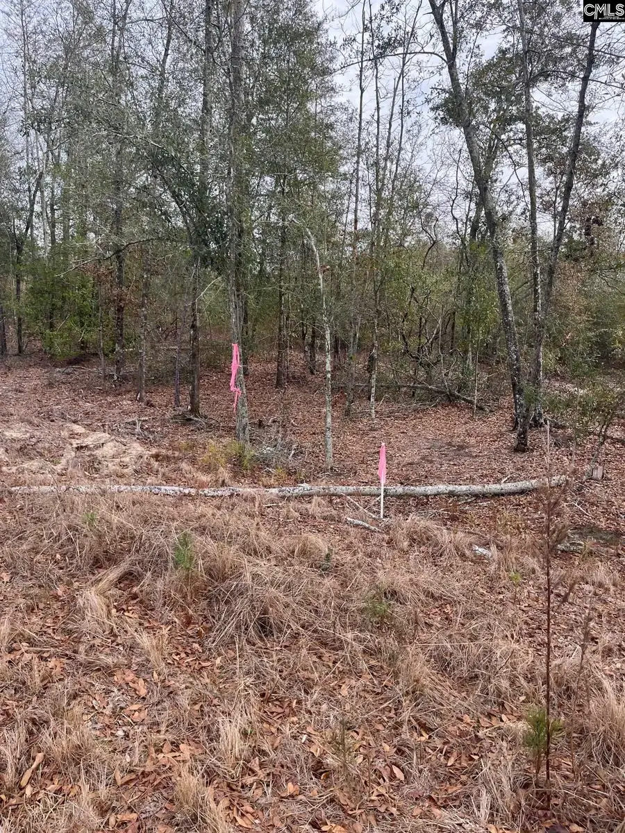 WHL 8 Rainbow Drive #WHL 8, Salley, SC 29137 - Image #3