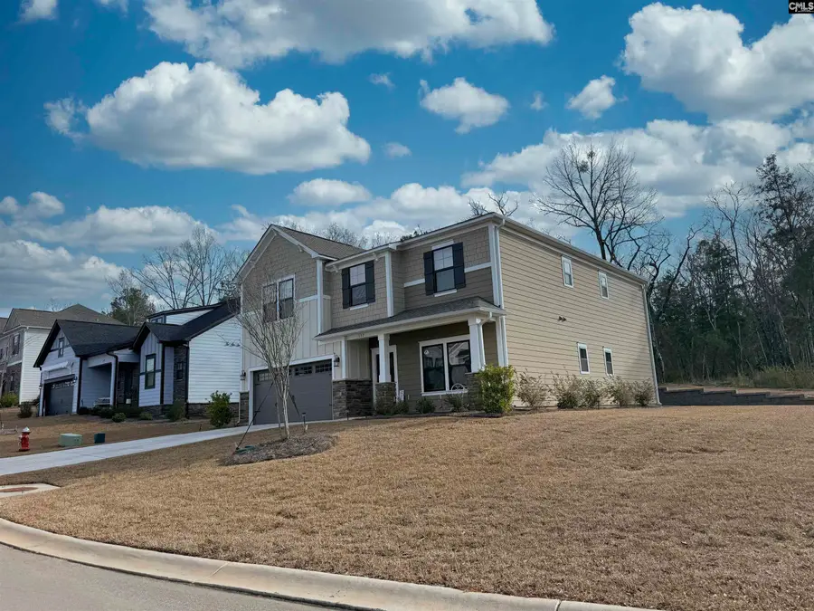 157 Collins Cove Drive, Chapin, SC 29036 - Image #2