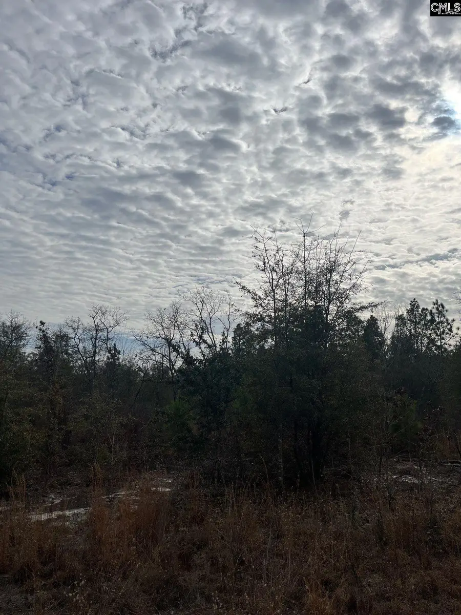 WHL 1 Rainbow Drive #WHL 1, Salley, SC 29137 - Image #3